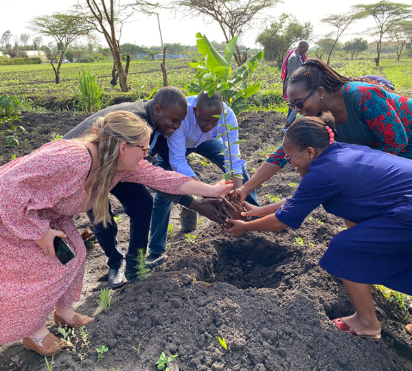 Tree Planting